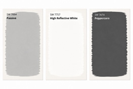 Official Paint Colors